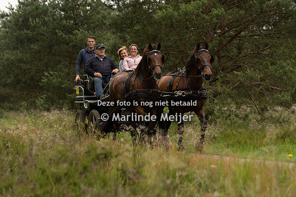 Epe Dinsdag - ZONDER EPE LOGO