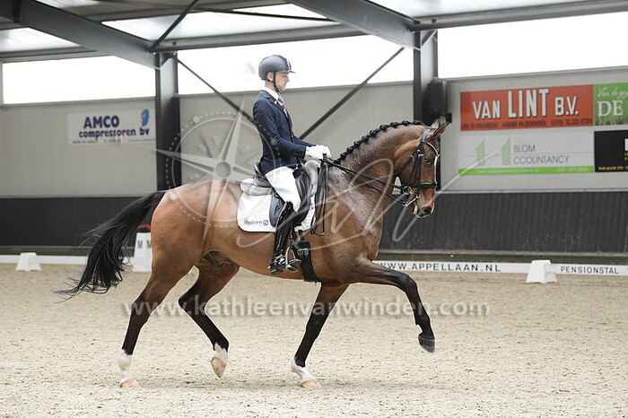 Mark van de Donk - Look At Me