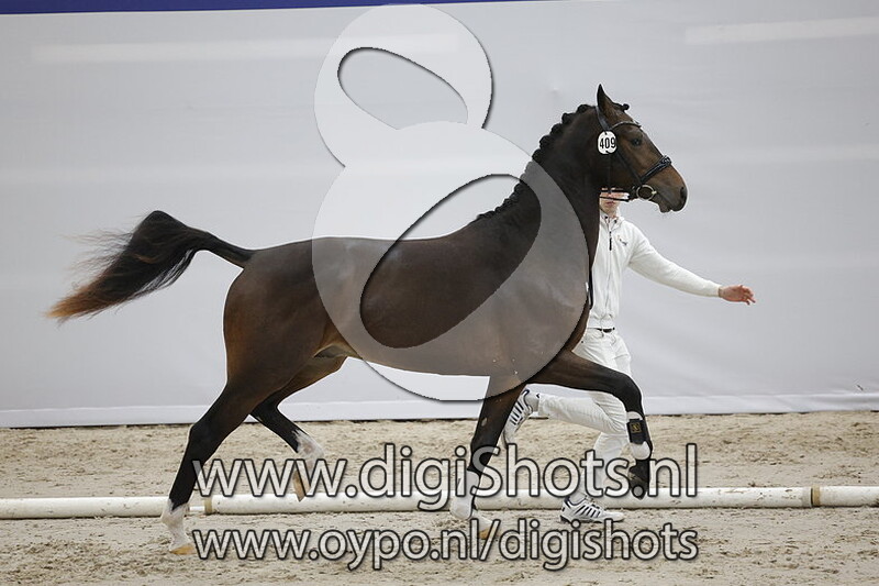 Piccolo v. Intro K - 409