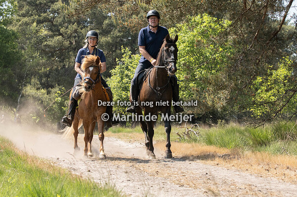 Eper paardenvierdaagse 2023