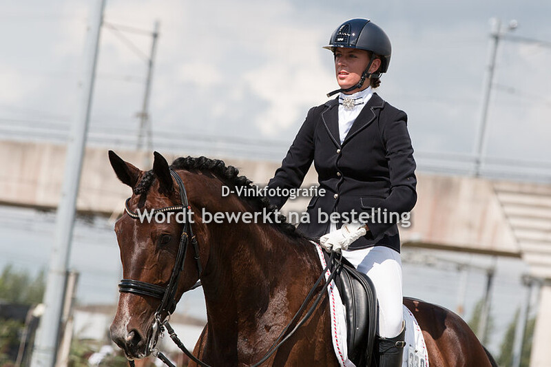 Sarah van de Meer - Goliath