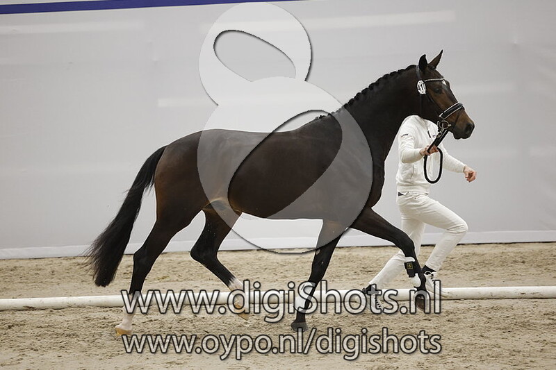 Prom King v. Jameson RS2 - 417