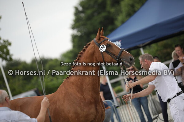 150 Faomi (Oscar x Naomi Ceroon v. Appolonios xx)