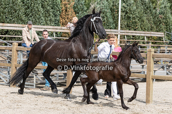 46. Danky fan de Ketting