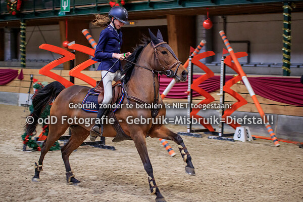 NY Jumping Warredal Pony's 100-110cm 07-01-22