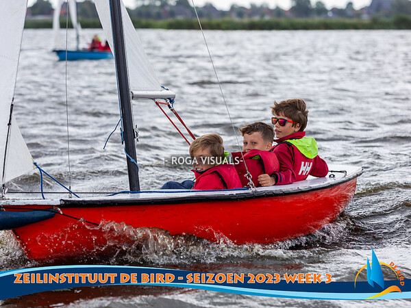 Zeilinstituut De Bird week 3