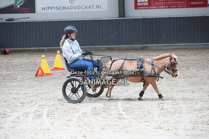 De Voornruiters De Meern Mennen Vaardigheid 02-03-2024 10.00-11.35 uur
