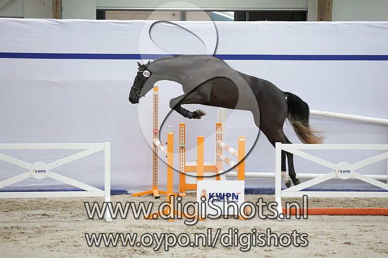 Leandro van de Watering Z