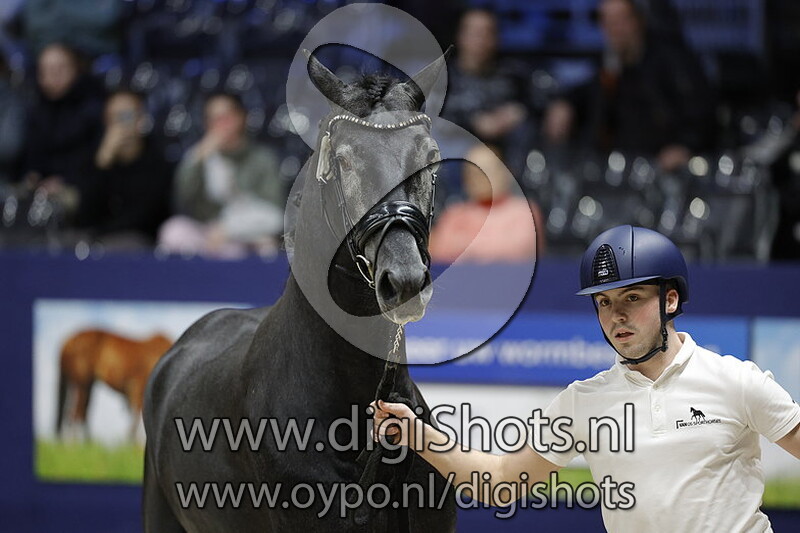 Romero Rds v. Glamourdale - 383