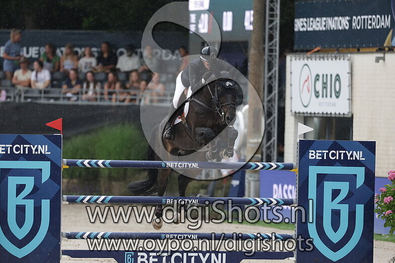 King Kong d'Avifauna