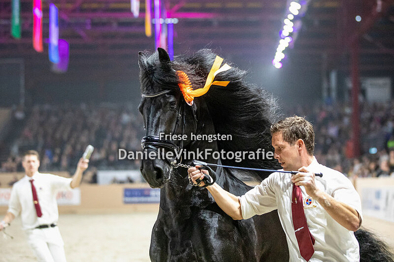 Hengstenkeuring 2023 Faust 523