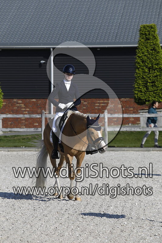 Junkbrunnen's Taj Mahal