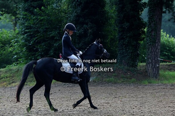 PZC Pony's – 26 juli 2025 | Woudruiters Vlagtwedde