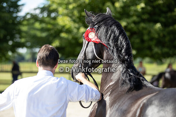 39. Vive Lique van de Meikade