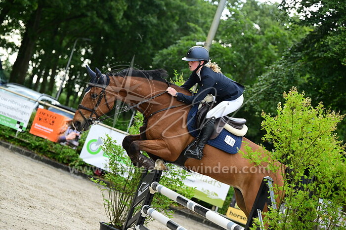 Fleur Vergouwen - Ulior de Celland