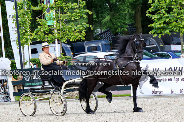 ch lunteren friezen 20242024