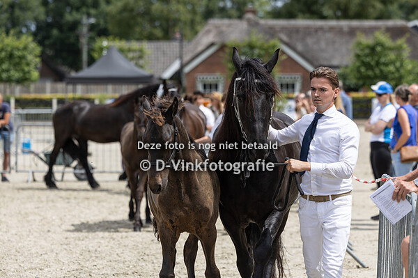 09. Dirk van de Vosjes