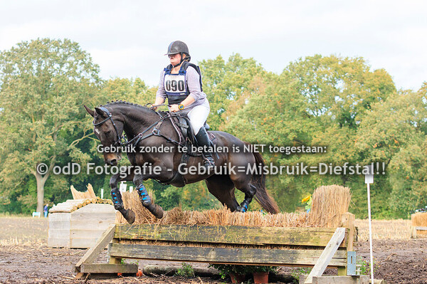 Eventing Diepenheim Paarden B 20-10-24