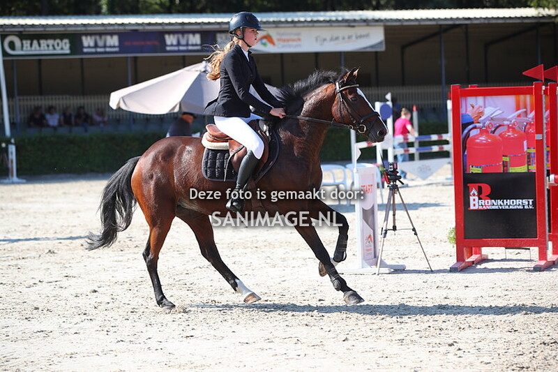 New Forest Sportdag 21-09-2024 Springen 90cm