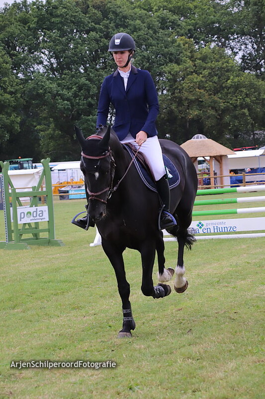 Hippisch Holtrijk Grolloo 06-07-2019 B