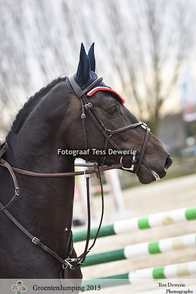 GJ Vrijdag 03.04.2015