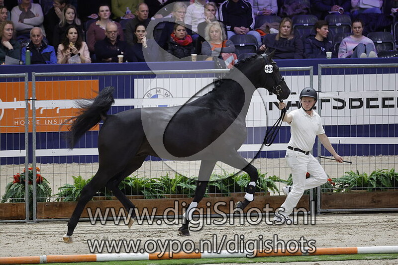 Palermo E v. Kjento - 450