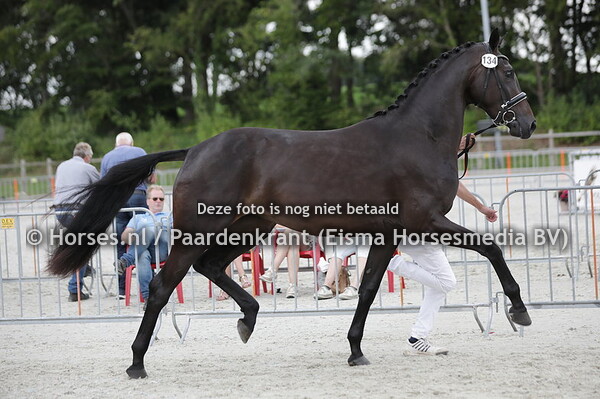 134 O-Luna-Endy (Kingston x Happuy Endy v.Furst Romancier)