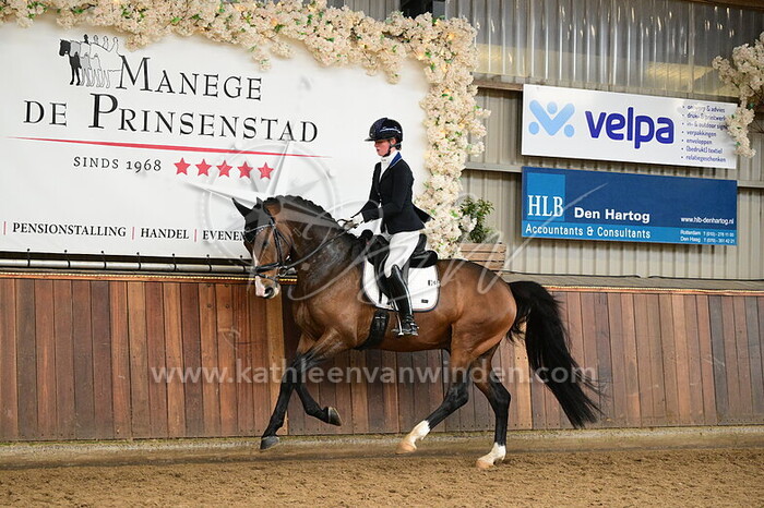 Amber Hage - Salvador JB