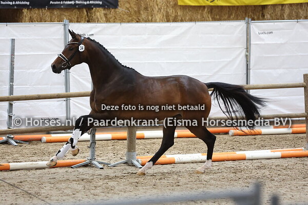 34 So Happy (Hermes x Happy v. Charmeur)