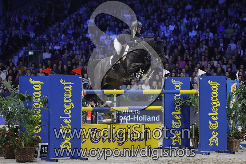 King Kong d'Avifauna