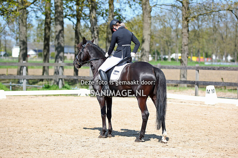 Manege Groenewoude Dressuur 30-04-2023 Ochtend (Ring 2)