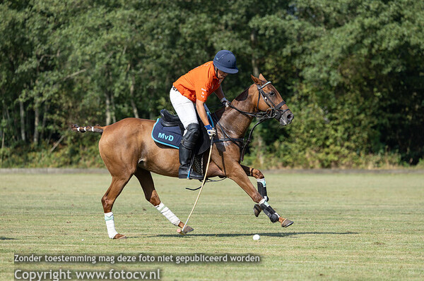 Argentine Polo Days 2024