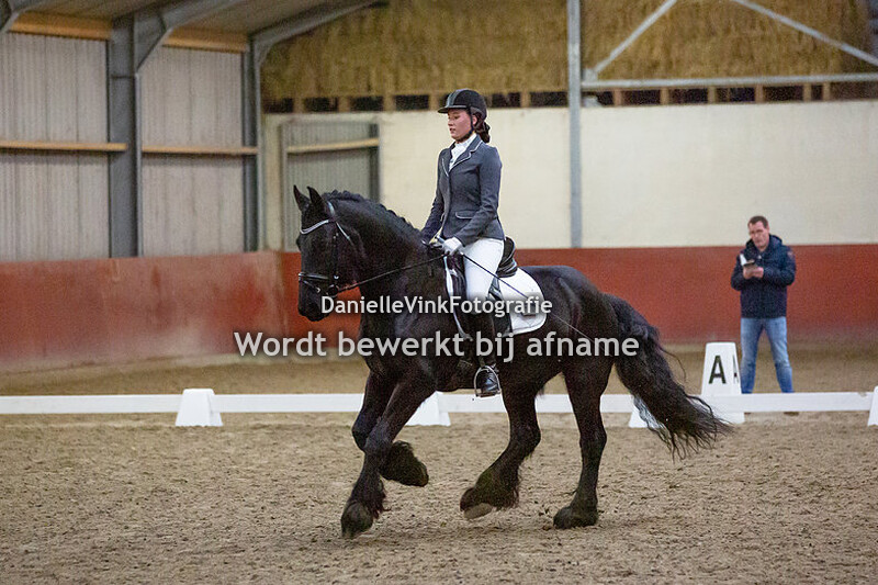 06. Klasse L1 paard