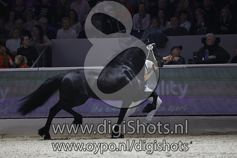 Hielke 530 v. Jurre 495