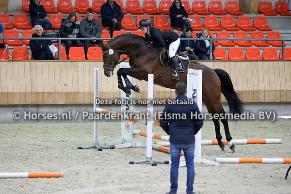 191126 Zadelpresentatie en herkansing Springhengsten 2019
