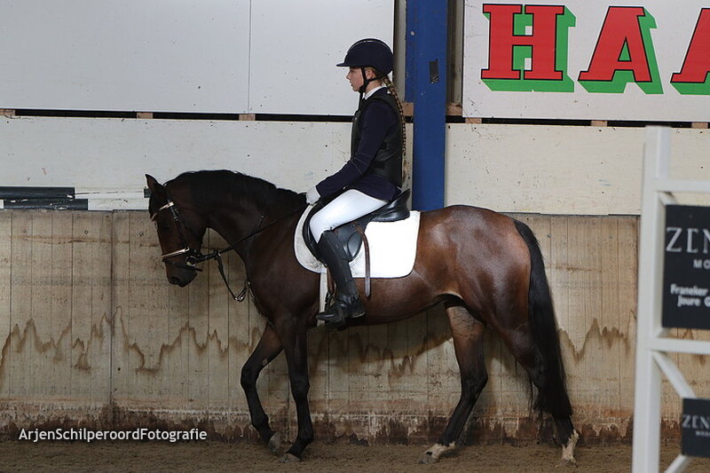 CH Franeker 01-10-2022 Pony's 50-60cm