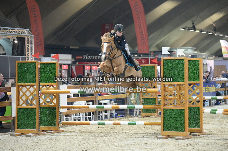 JM18 -DO- Final JM-IM Ponies