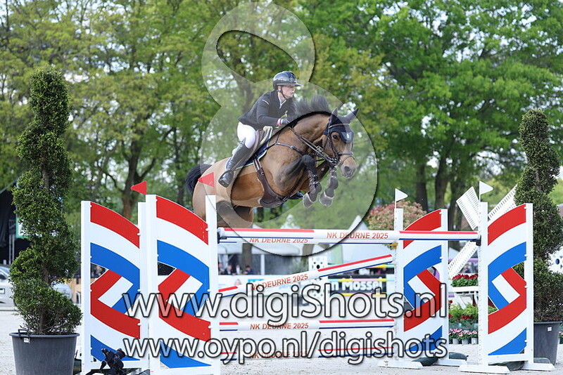 Chic Fou du la Bastide