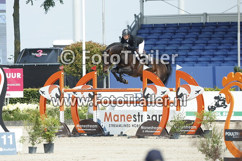 dennis van den brink