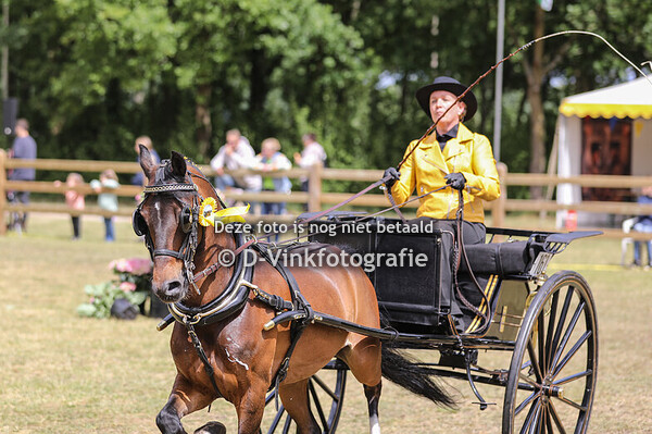 19. Eenspannen hackney's damesklasse