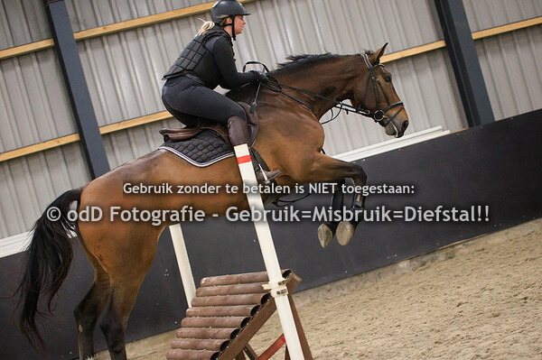 Groep 5 13:30 Laura Hoogeveen