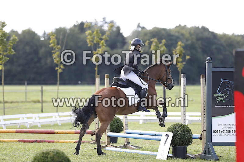 Geen nummer, NL vlag op helm