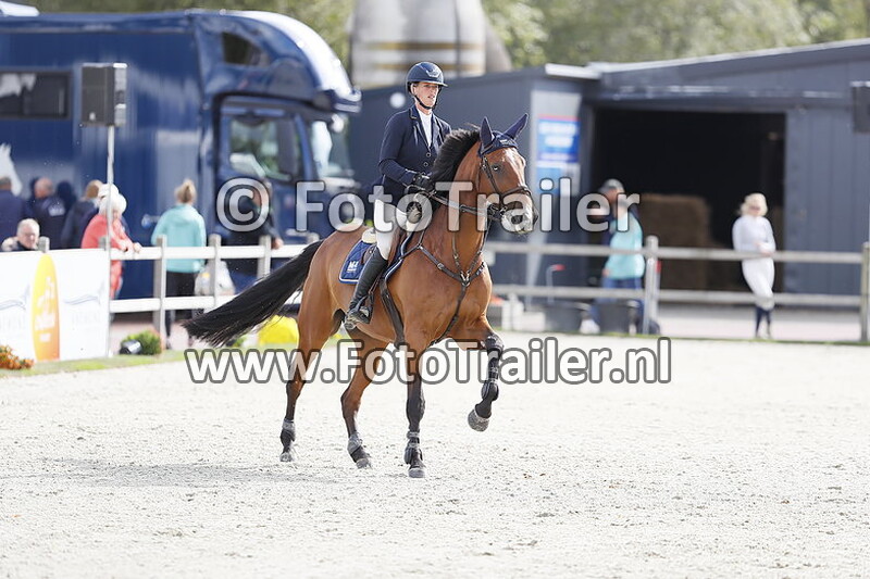 mareille van geel schroder