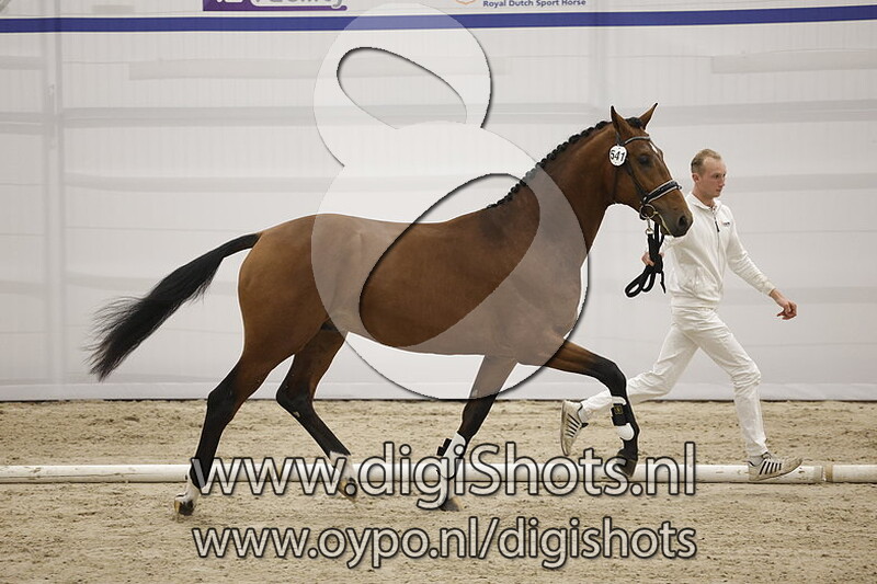 Pastinaat ASD v. Valderde - 541