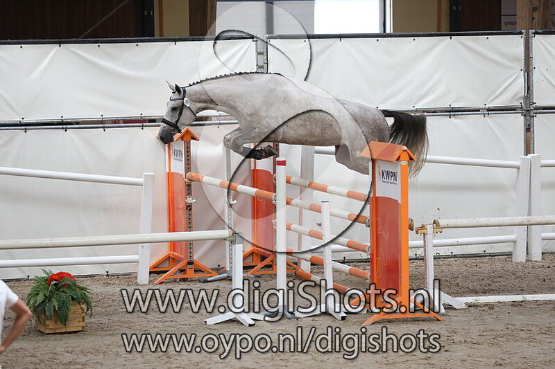 Kouplesse v. Zirocco Blue VDL