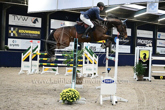 Jelle Geysen - Ridge Blue