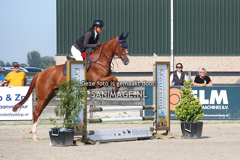 Reigersburgh 16-09-2023 Springen paarden 80 en 90 cm