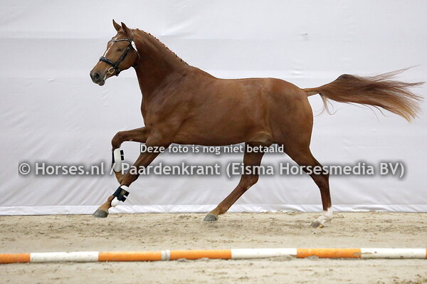 536 Rumour Has It (Valverde x Valentia v. Krack))