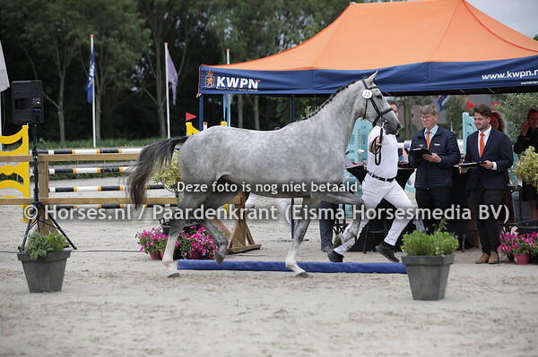 13 One Blue Kiss TCS-ES (CHacoon Blue x Covella v. Ukato)