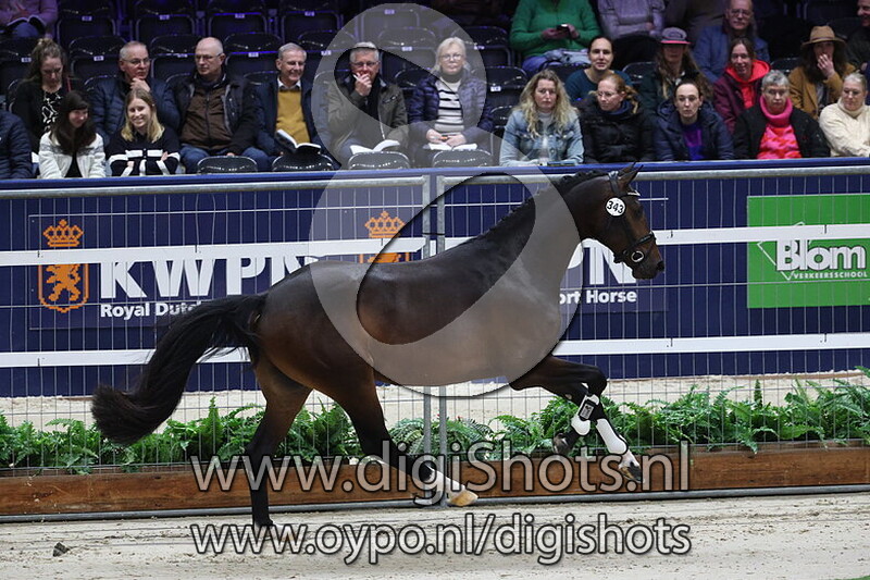 Socrates KS v. For Romance